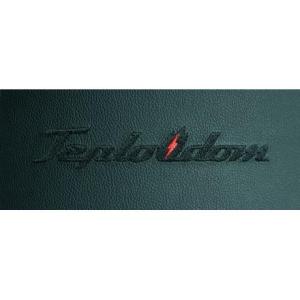 Электрический котел Teplodom i-TRM SILVER StS 12 кВт в Слуцке