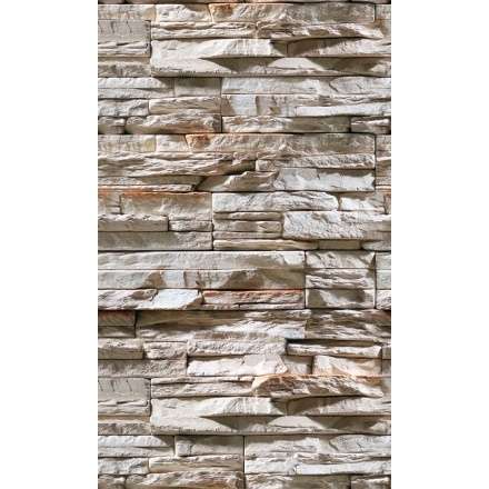 Фиброцементная плита Фаспан Дикий камень №1007 Вертикаль (1200х800х8 мм) купить в Слуцке