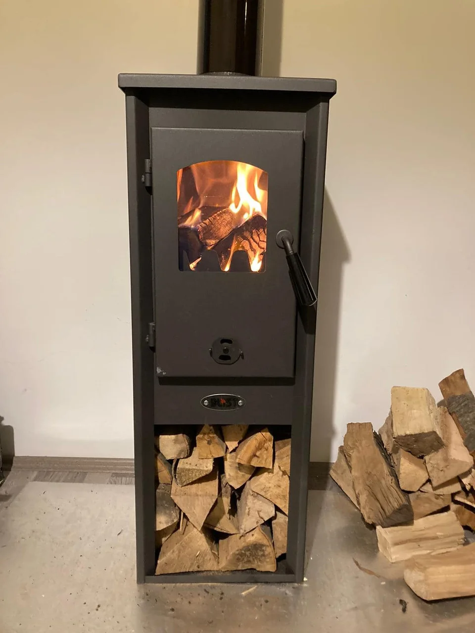 Печь-камин Blist Ekonomik Lux LM N стальная дверца Амазонка бай фото в Слуцке