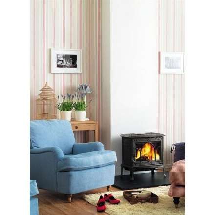 Чугунная печь камин Jotul F100 BP в Слуцке