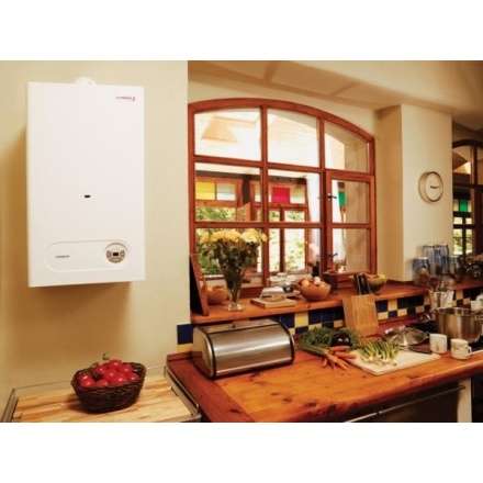 Газовый котел Protherm Тигр 24 KTZ в Слуцке