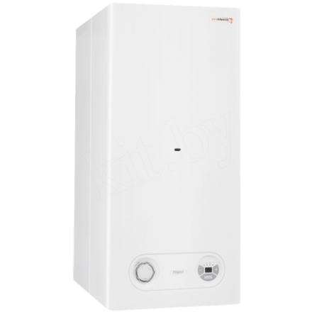 Газовый котел Protherm Тигр 24 KTZ в Слуцке